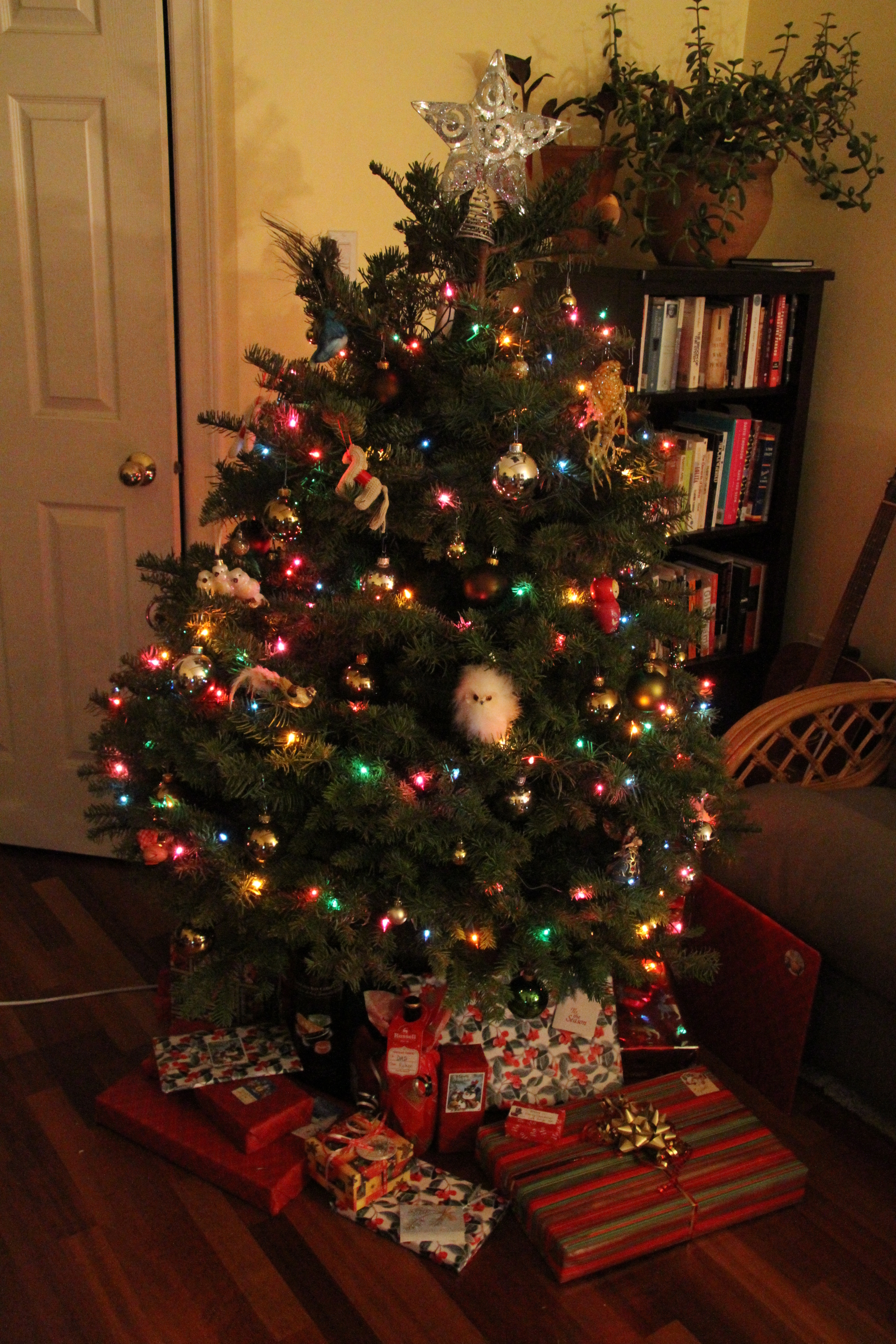 Christmas Tree Noble Fir
