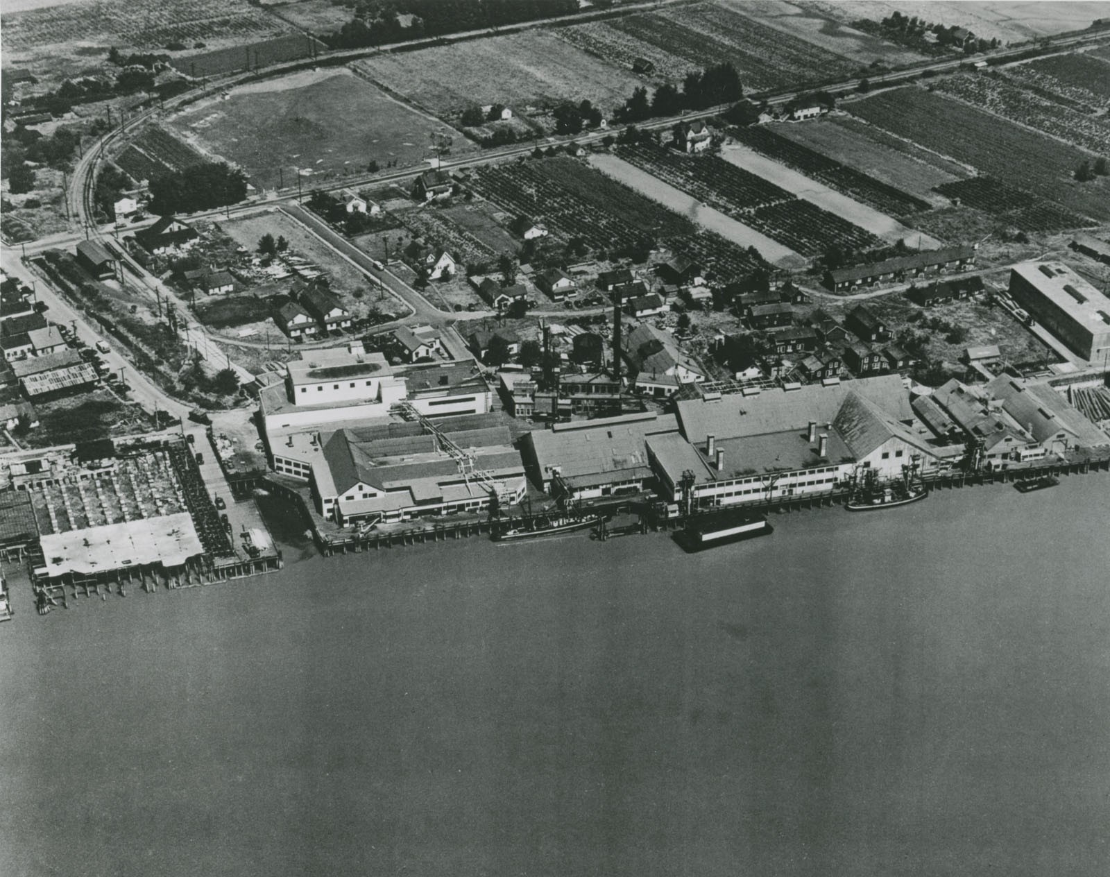 Aerial photo of the Imperial Cannery, Steveston - 1950