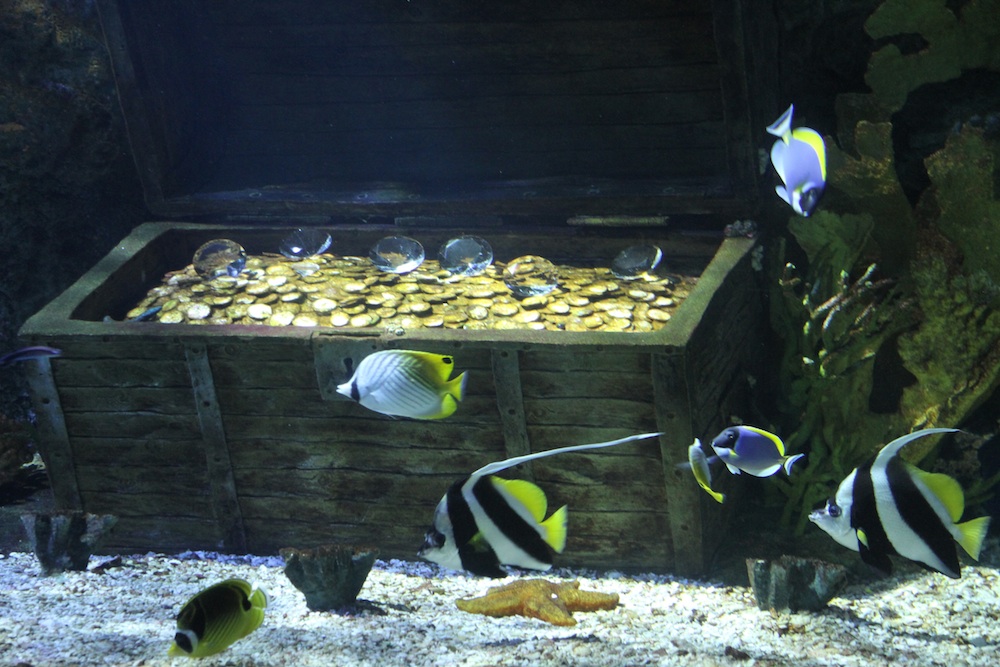 Aquarium2