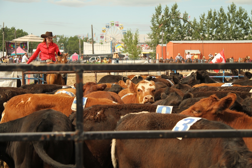 The 50th Annual Manitoba Stampede in Morris