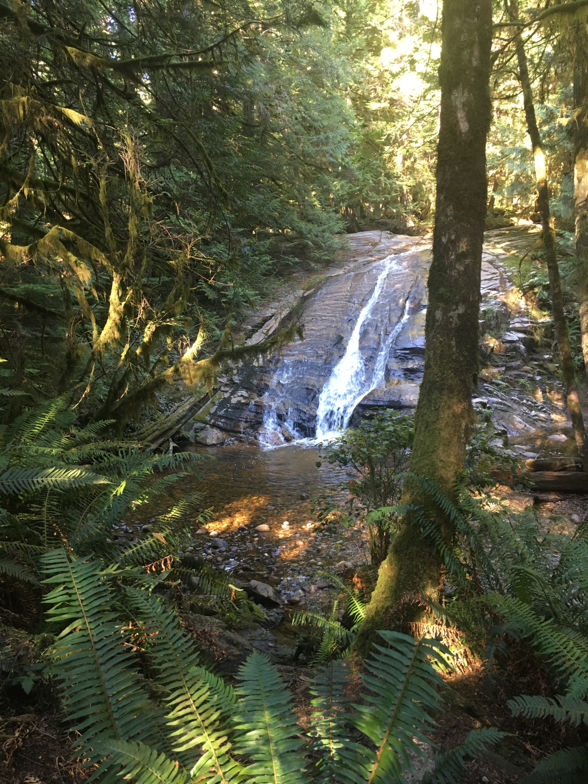 Waterfall at Cliff Gilker Park, Roberts Creek