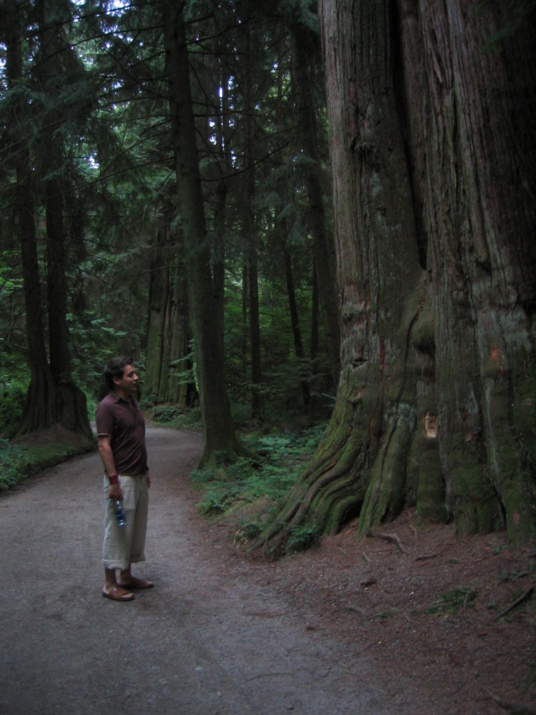 Stanley Park in Vancouver