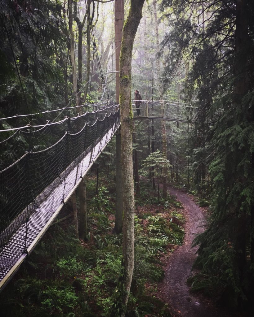 The Greenheart TreeWalk at the UBC Botanical Garden, Vancouver
