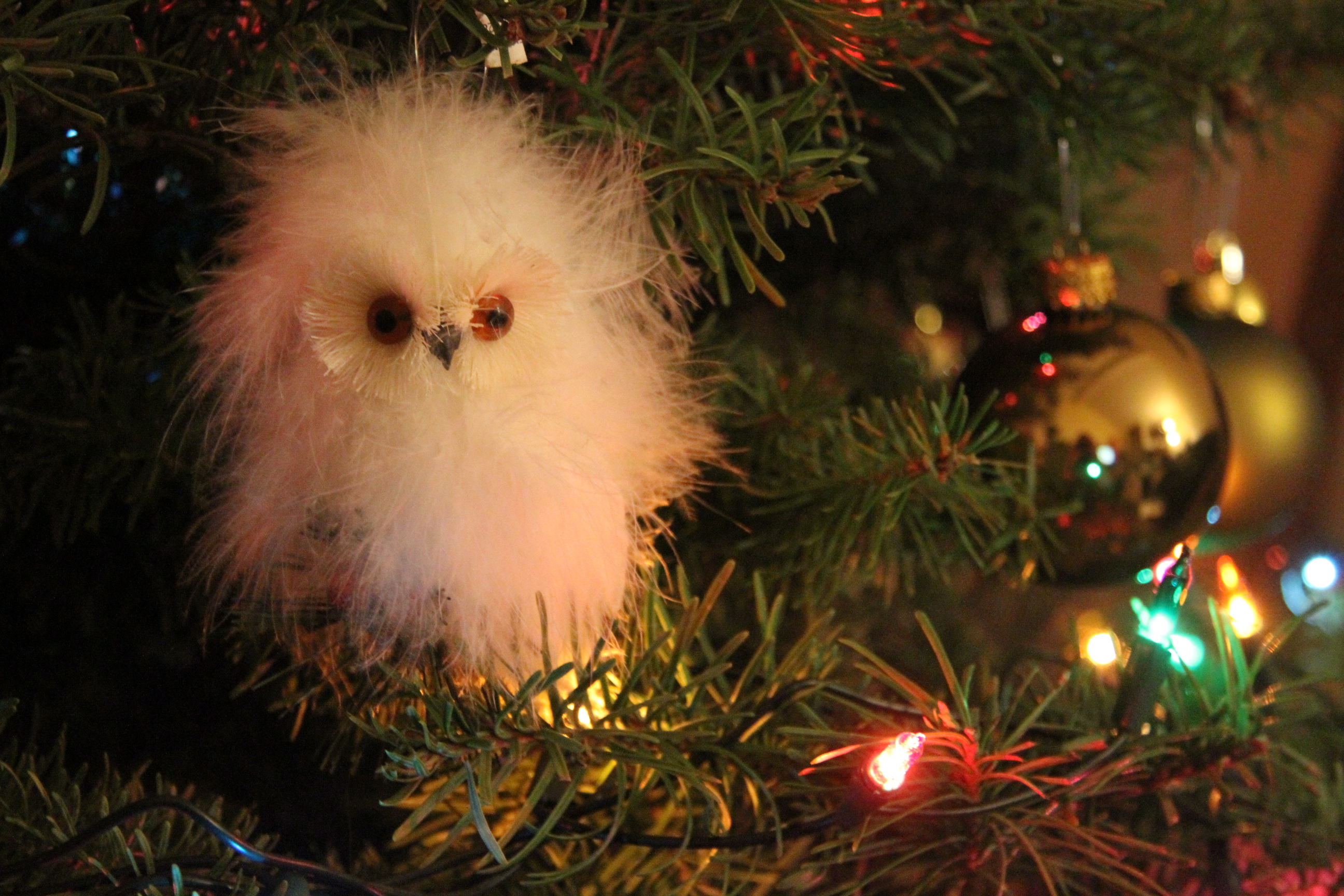 Bird ornaments on a Christmas tree