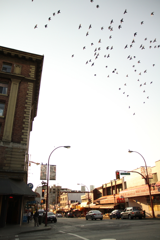 Vancouver's Chinatown