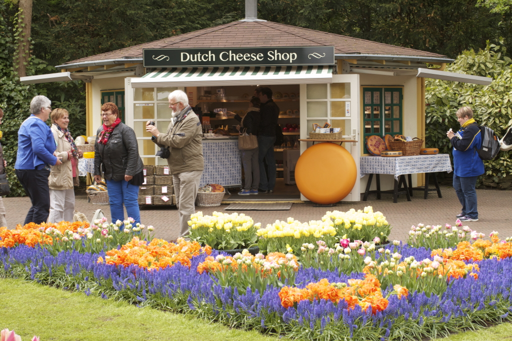 Dutch Cheese!