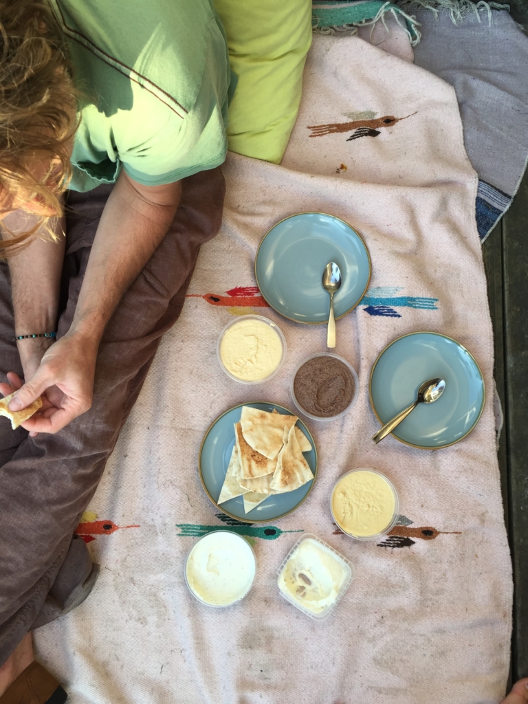 Eating local in East Van with a backyard picnic of Habibi's Foods