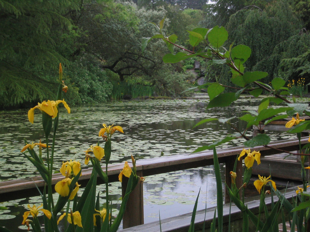 VanDusen Botanical Garden - April 2005. Photo: Robyn Hanson