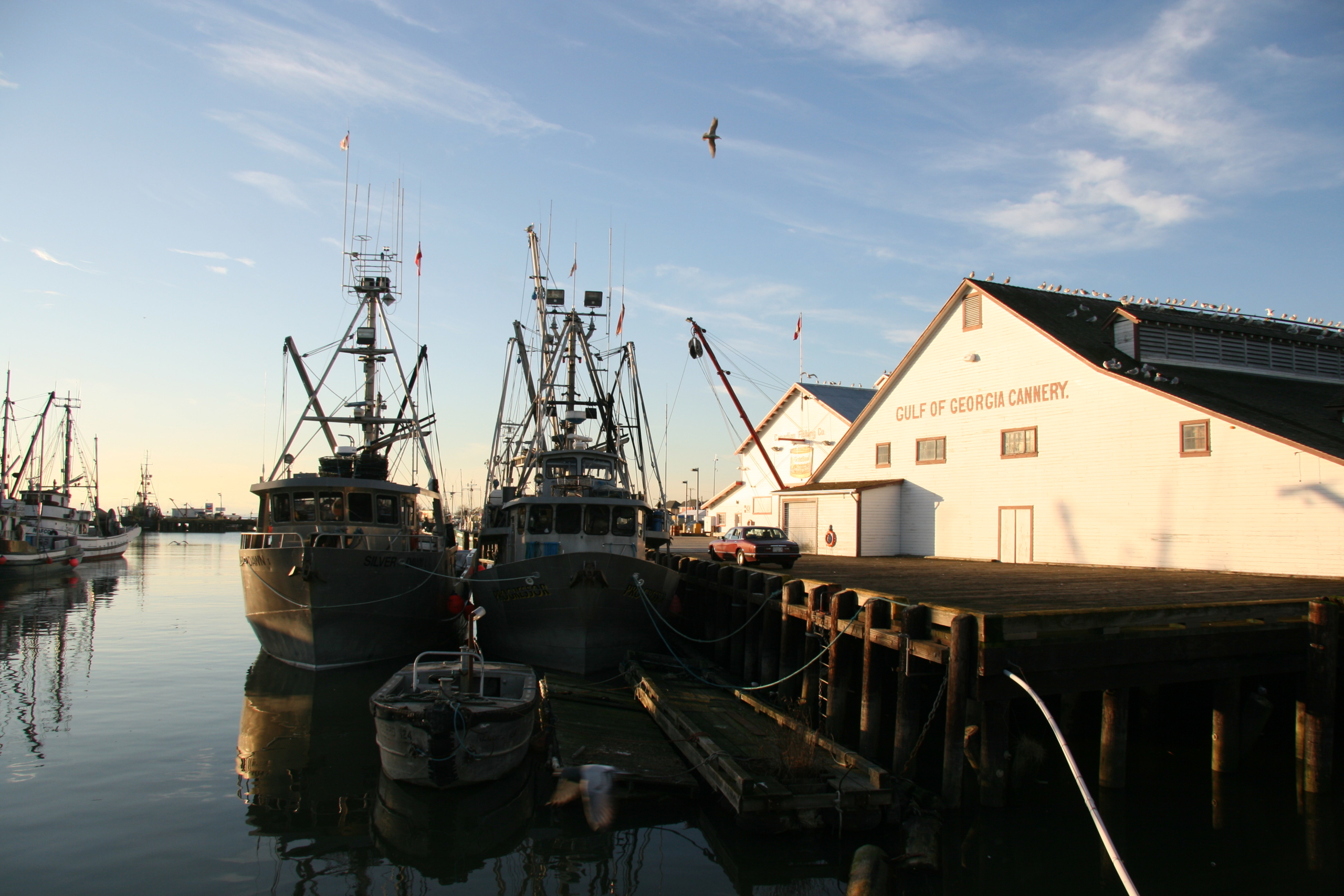 The Uncertain Future of Finn Slough: The Contemporary History of A  Marginalized Society - BCRobyn