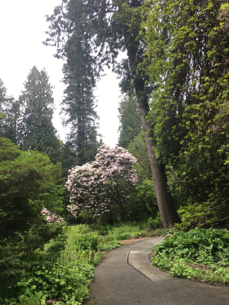 UBC Botanical Garden