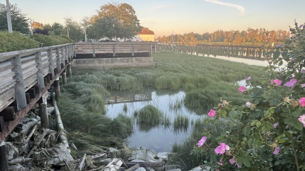 Strolling along the Fraser River in Steveston